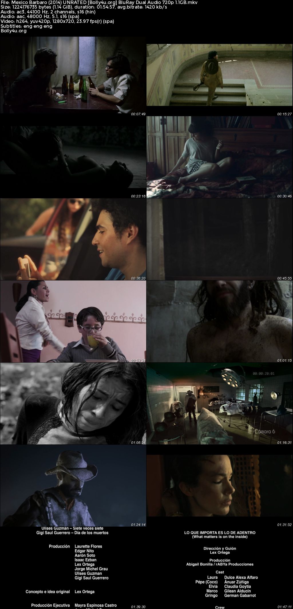 Mexico Barbaro 2014 BluRay UNRATED Hindi Dual Audio Full Movie Download 720p 480p