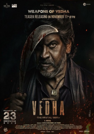 Vedha 2022 WEB-DL Hindi Dubbed ORG Full Movie Download 1080p 720p 480p