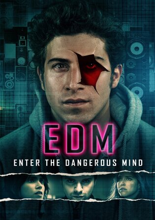 Enter the Dangerous Mind 2013 BluRay Hindi Dual Audio Full Movie Download 720p 480p
