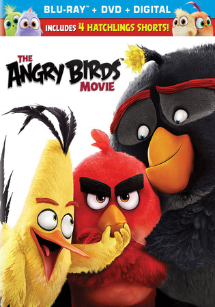 The Angry Birds Movie 2016 BluRay Hindi Dual Audio ORG Full Movie Download 1080p 720p 480p Watch Online Free bolly4u
