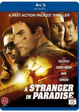 A Stranger In Paradise 2013 BluRay Hindi Dual Audio Full Movie Download 720p 480p