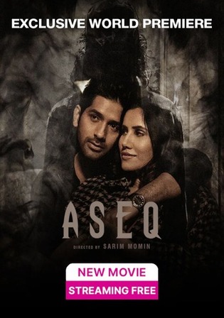 Aseq 2022 WEB-DL Hindi Full Movie Download 1080p 720p 480p