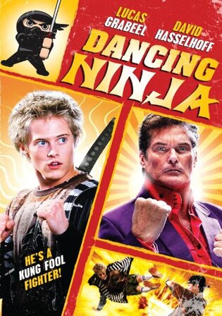 Dancing Ninja 2010 WEB-DL Hindi Dual Audio Full Movie Download 720p 480p