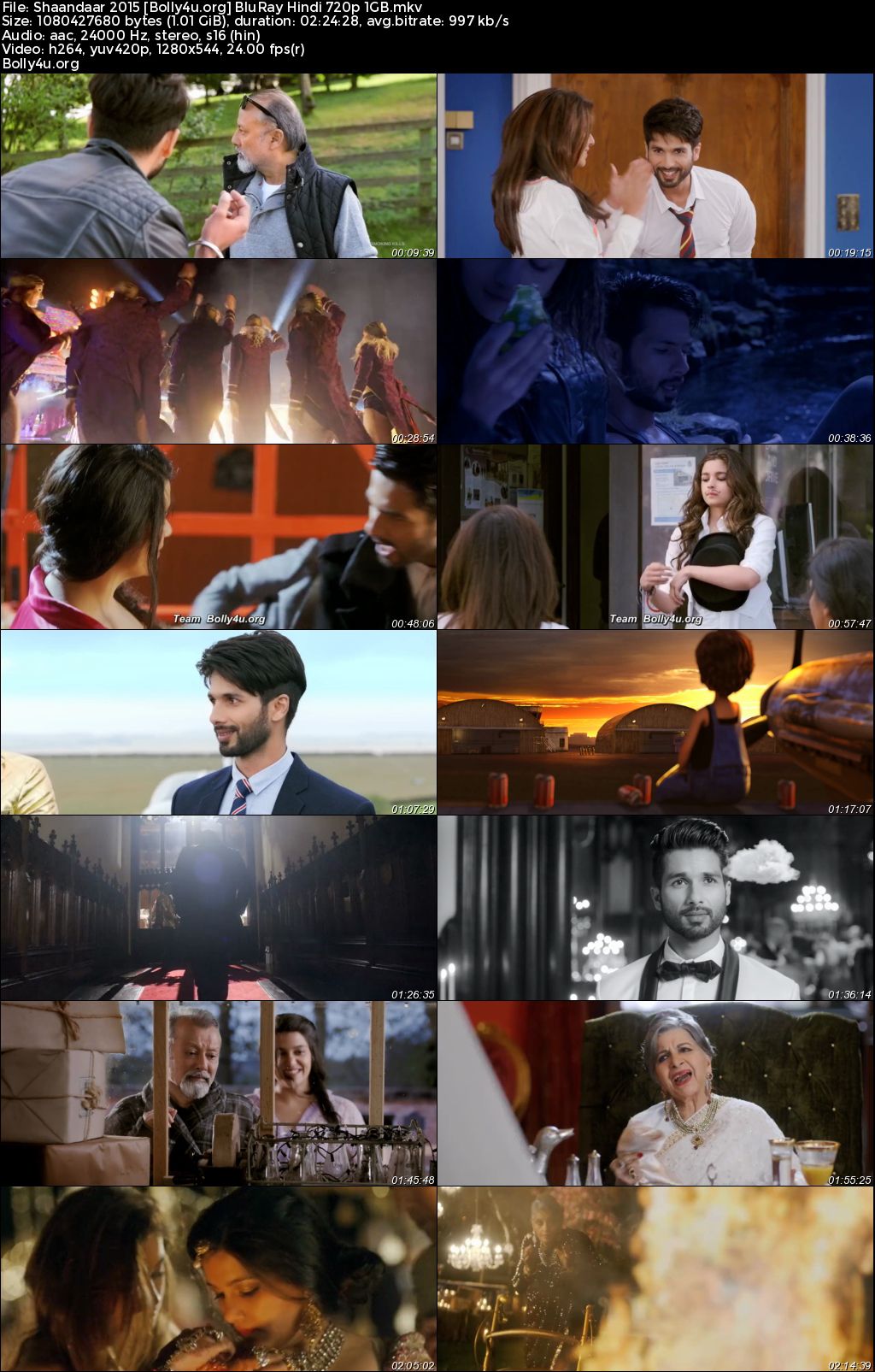 Shaandaar 2015 BluRay Hindi Full Movie Download 1080p 720p 480p