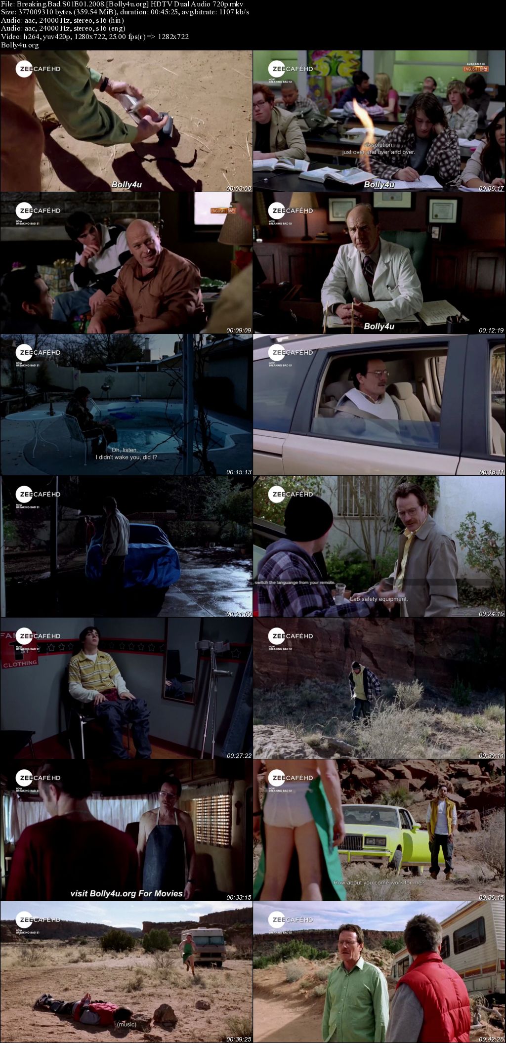 Breaking Bad 2008 HDTV Hindi Dual Audio ORG S01 Complete Download 720p