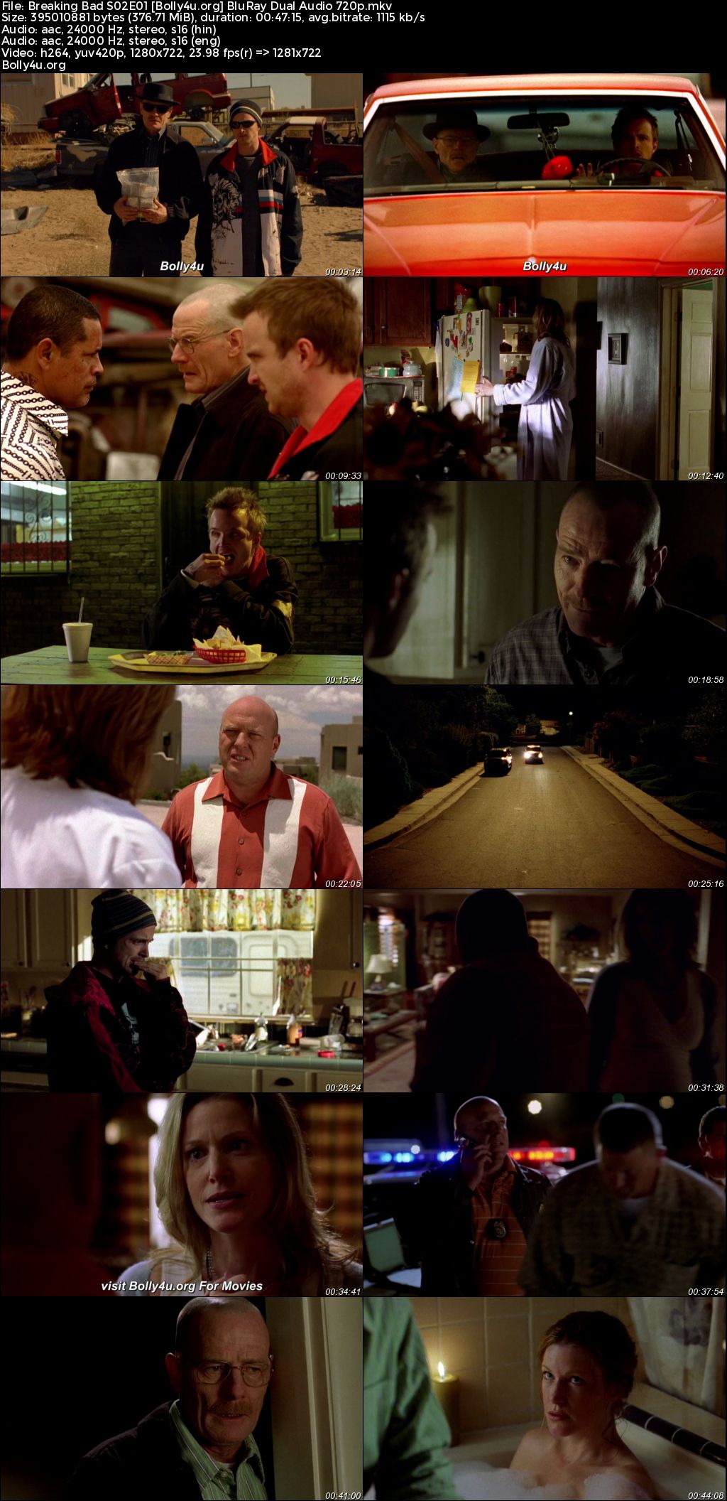 Breaking Bad 2009 BluRay Hindi Dual Audio ORG S02 Complete Download 720p