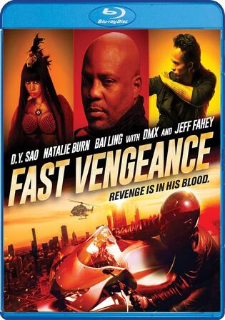 Fast Vengeance 2021 BluRay Hindi Dual Audio Full Movie Download 720p 480p
