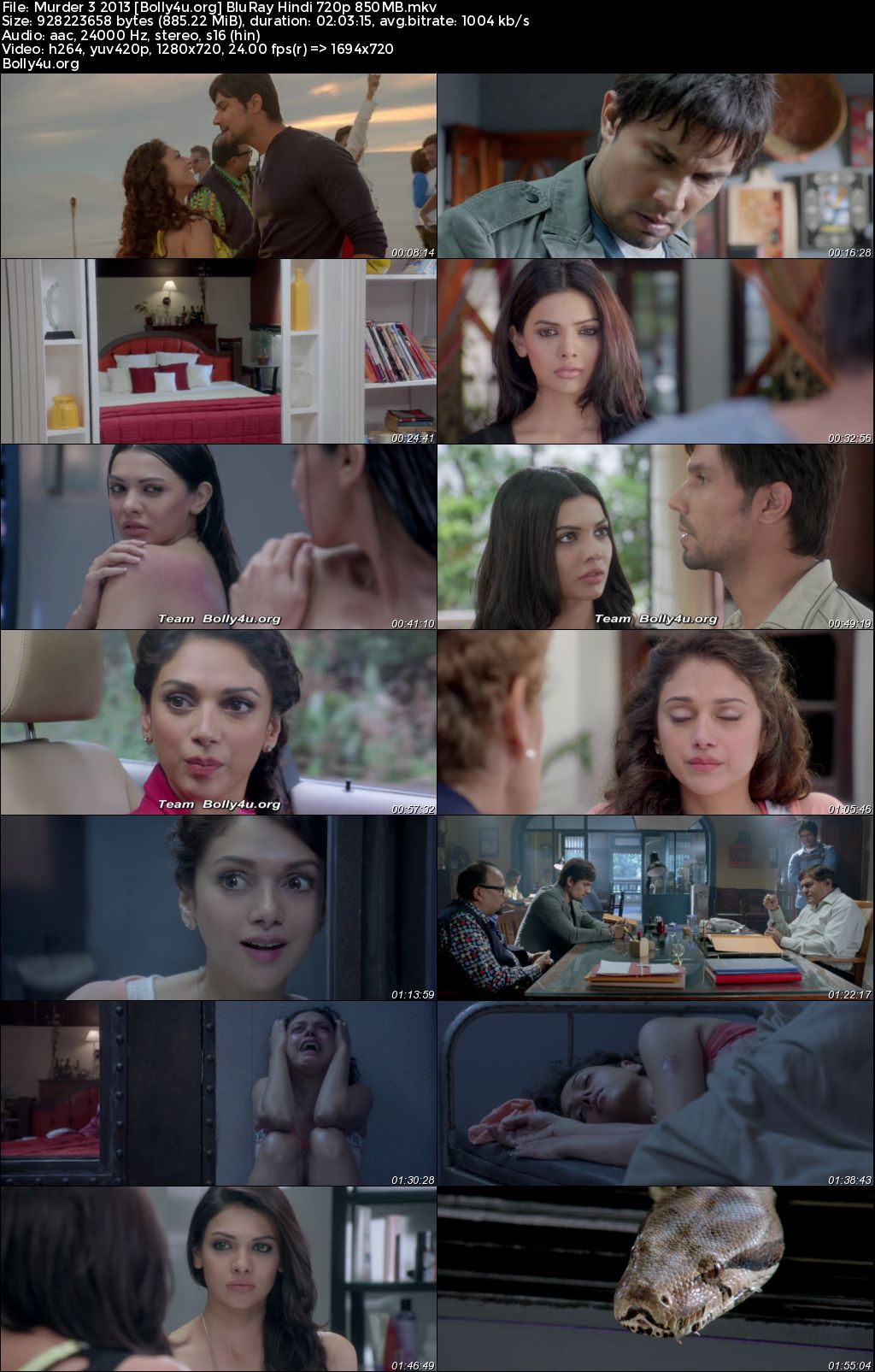 Murder 3 2013 BluRay Hindi Full Movie Download 1080p 720p 480p