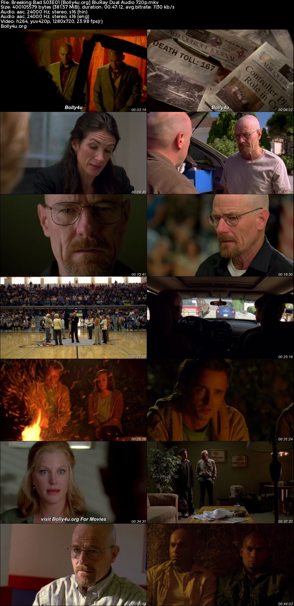 Breaking Bad 2010 BluRay Hindi Dual Audio ORG S03 Complete Download 720p