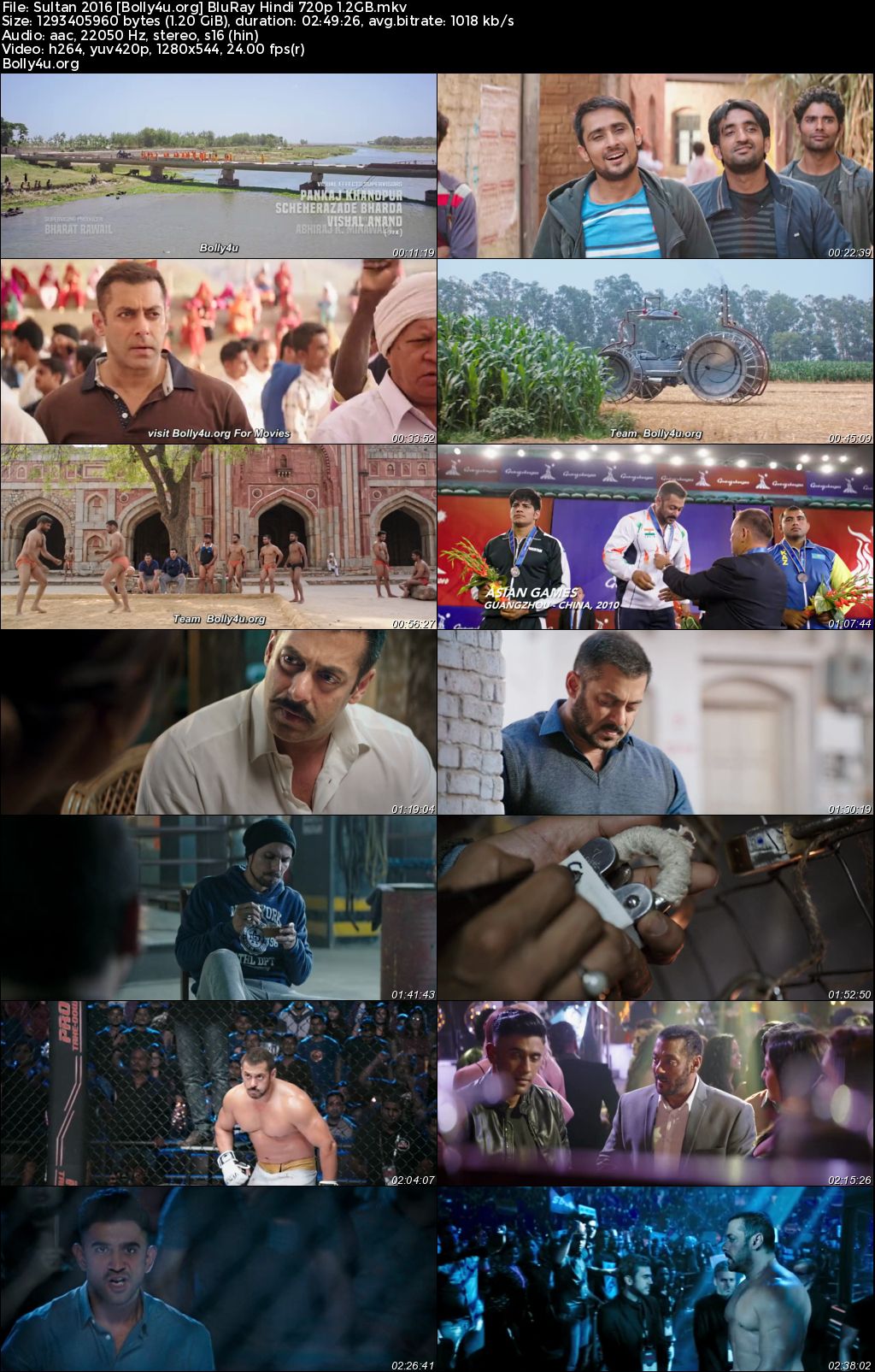 Sultan 2016 BluRay Hindi Full Movie Download 1080p 720p 480p