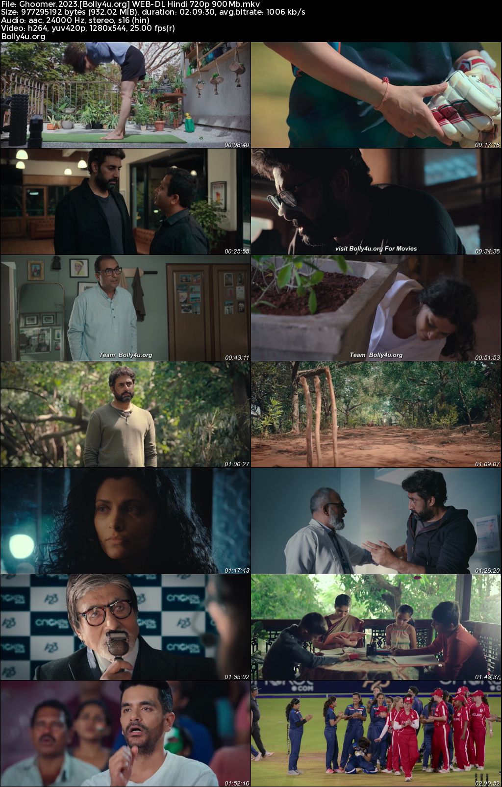 Ghoomer 2023 WEB-DL Hindi Full Movie Download 1080p 720p 480p
