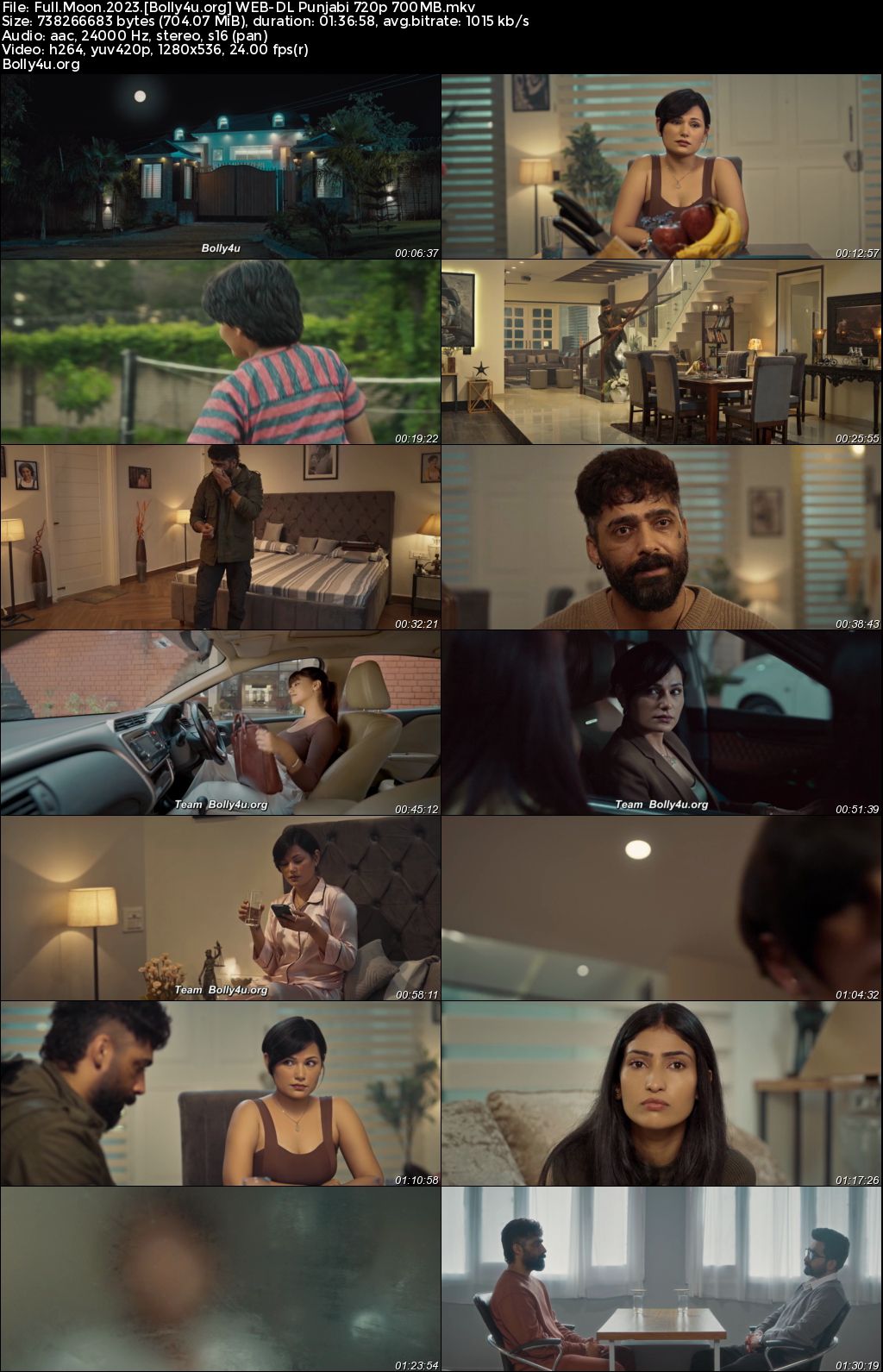 Full Moon 2023 WEB-DL Punjabi Full Movie Download 1080p 720p 480p
