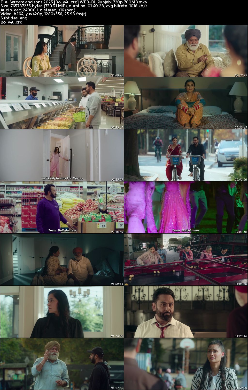 Sardara and Sons 2023 WEB-DL Punjabi Full Movie Download 1080p 720p 480p