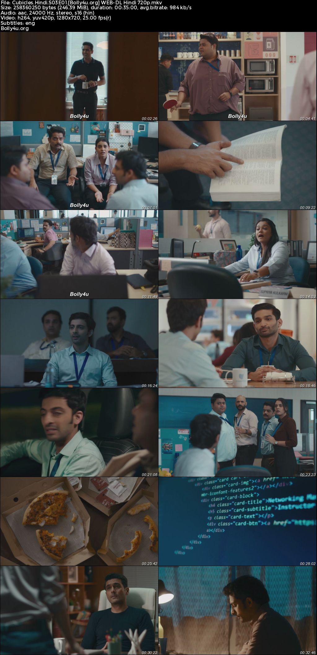 Cubicles 2024 WEB-DL Hindi S03 Complete Download 720p 480p