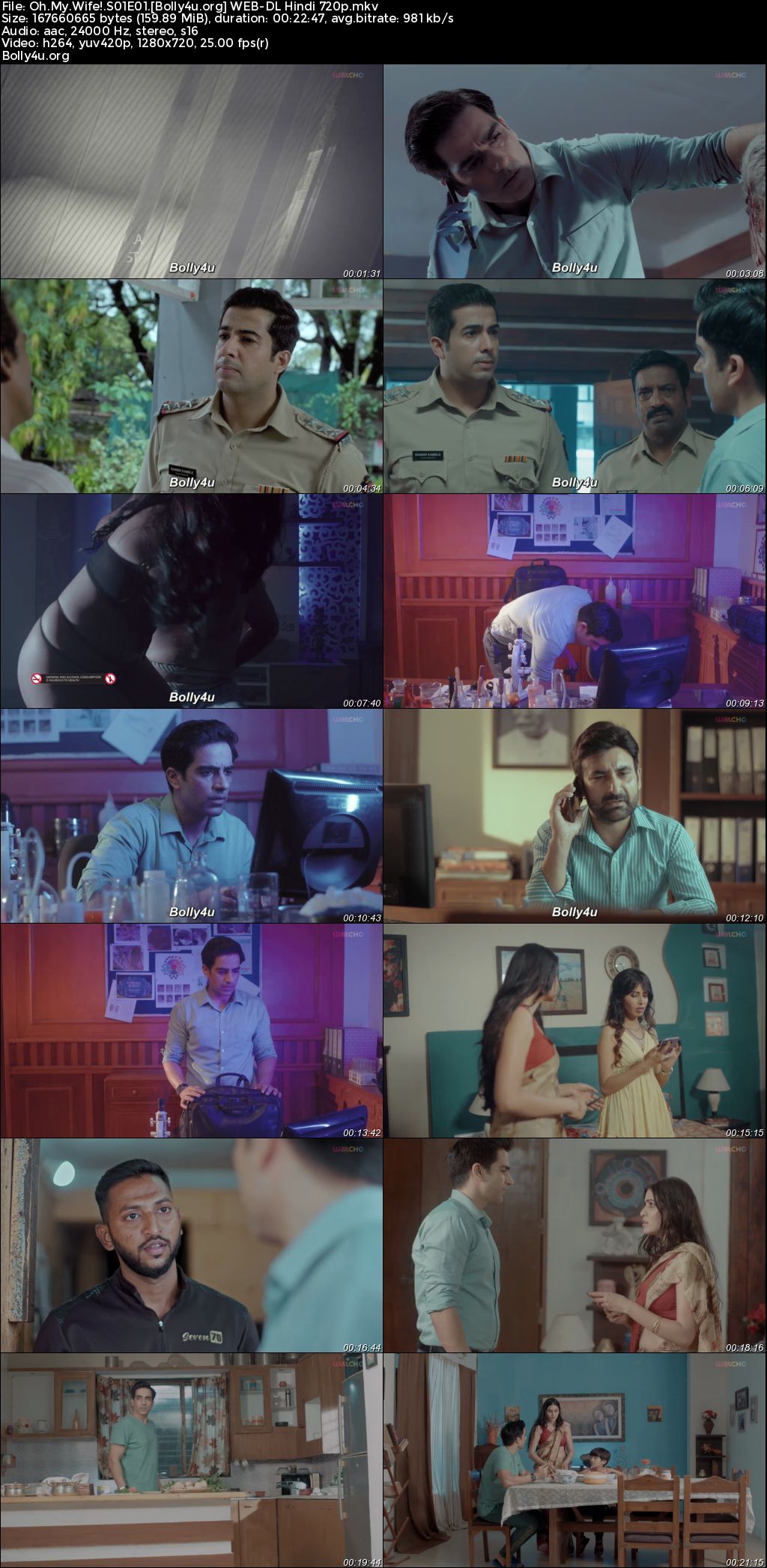 Oh My Wife 2024 WEB-DL Hindi S01 Complete Download 720p 480p