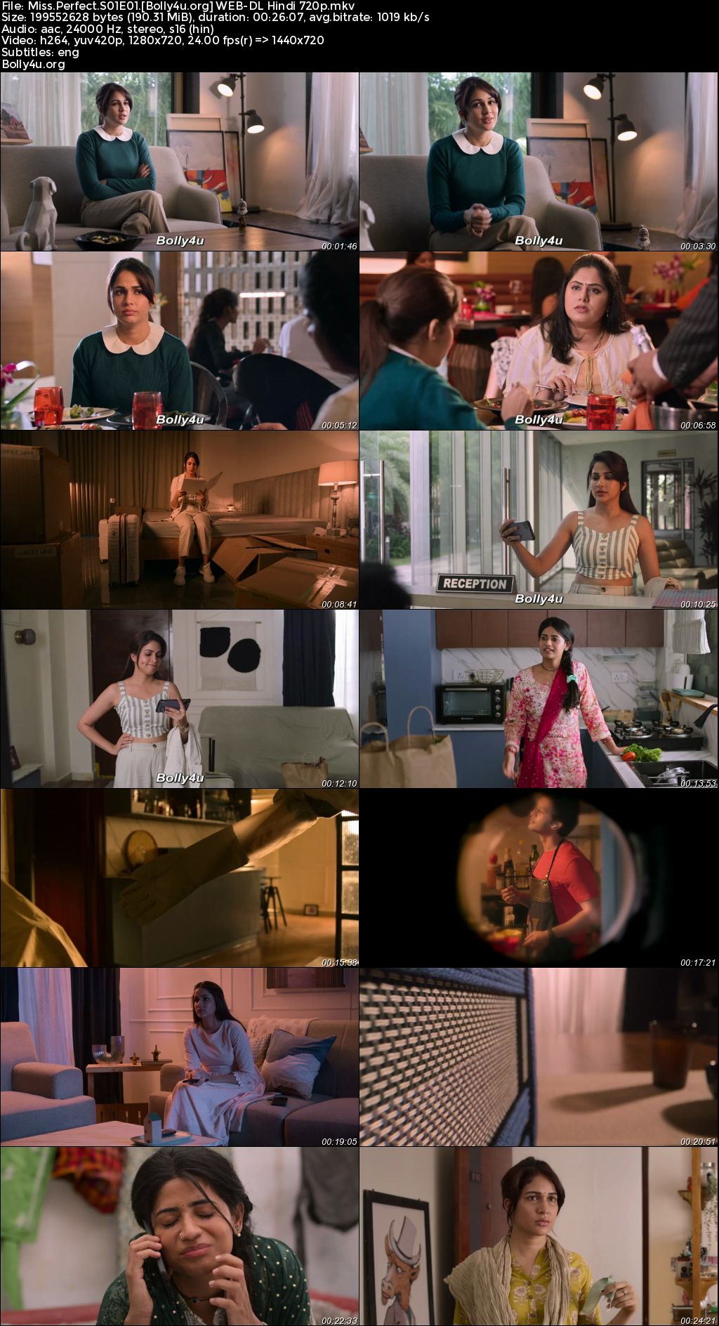 Miss Perfect 2024 WEB-DL Hindi S01 Complete Download 720p 480p