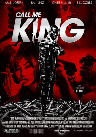 Call Me King 2017 WEB-DL Hindi Dual Audio Full Movie Download 720p 480p Watch Online Free bolly4u
