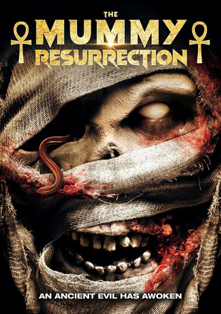 The Mummy Resurrection 2022 WEB-DL Hindi Dual Audio Full Movie Download 720p 480p – Thyposts