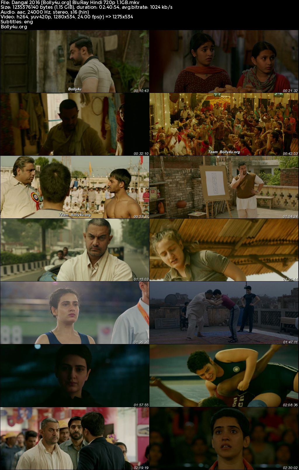 Dangal 2016 BluRay Hindi Full Movie Download 1080p 720p 480p