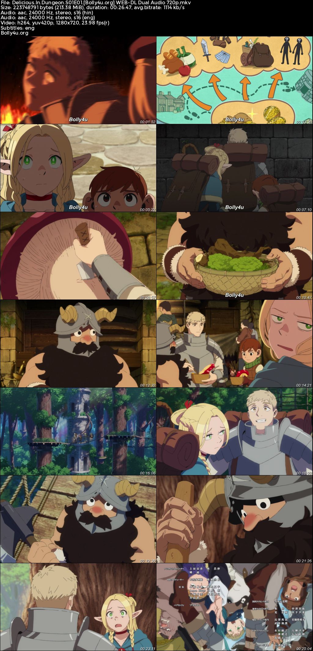 Delicious In Dungeon 2024 WEB-DL Hindi Dual Audio ORG S01 Complete Download 720p 480p