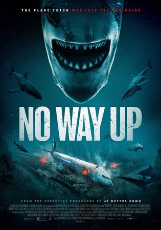 No Way Up 2024 WEB-DL Hindi Dual Audio ORG Full Movie Download 1080p 720p 480p