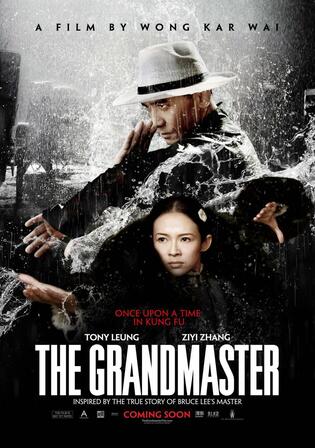 The Grandmaster 2013 WEB-DL Hindi Dual Audio ORG Full Movie Download 1080p 720p 480p Watch Online Free bolly4u