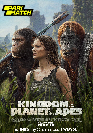 Kingdom of The Planet of The Apes 2024 Pre DVDRip Hindi Dubbed Full Movie Download 1080p 720p 480p Watch online Free bolly4u