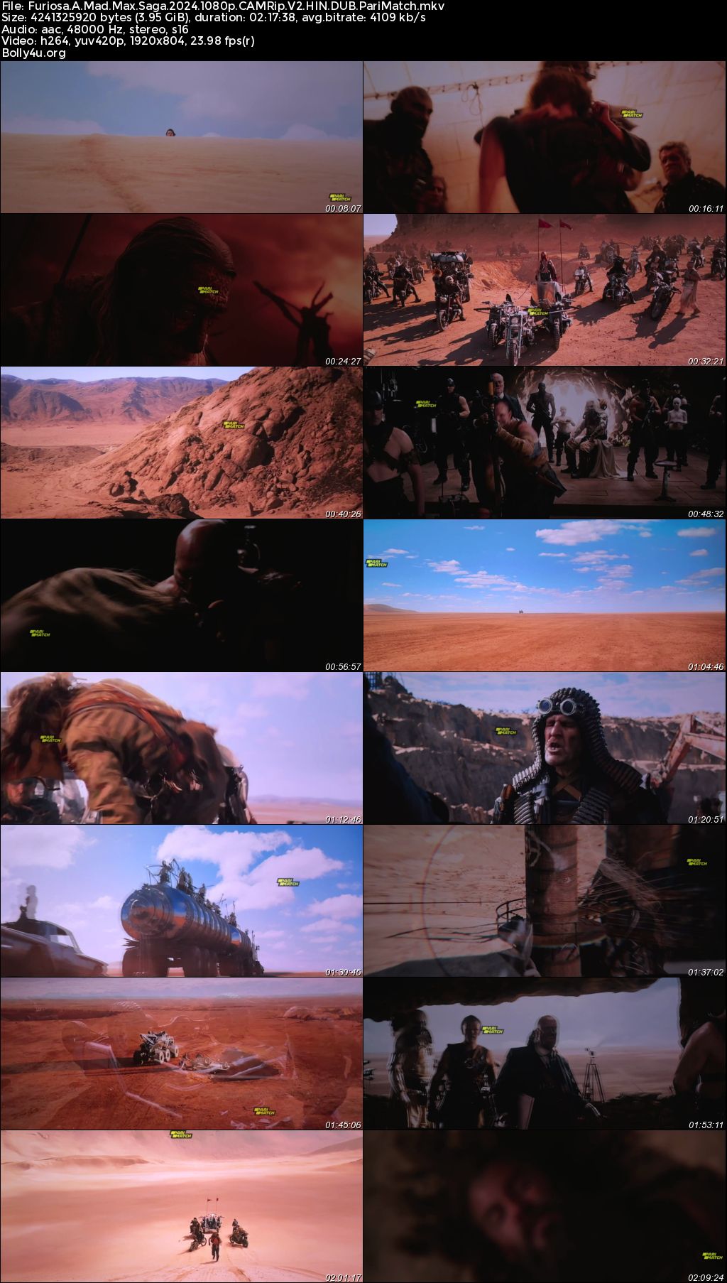 Furiosa A Mad Max Saga 2024 HDTS Hindi Dubbed Full Movie Download 1080p 720p 480p