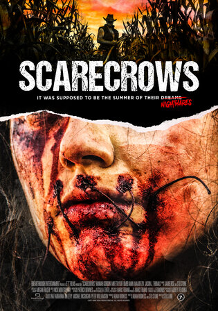 Scarecrow 2013 WEB-DL Hindi Dual Audio Full Movie Download 720p 480p Watch Online Free bolly4u