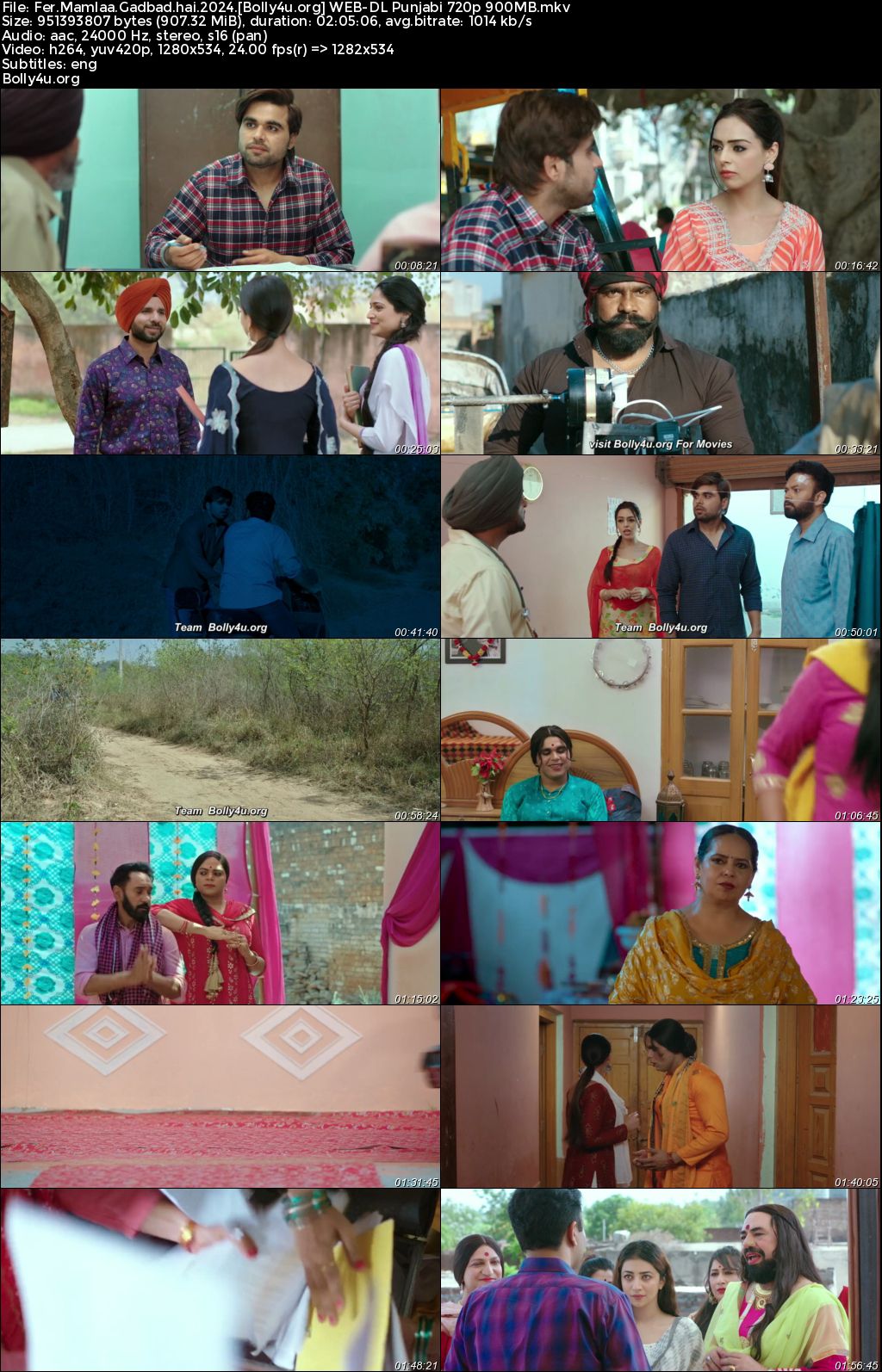 Fer Mamlaa Gadbad Hai 2024 WEB-DL Punjabi Full Movie Download 1080p 720p 480p