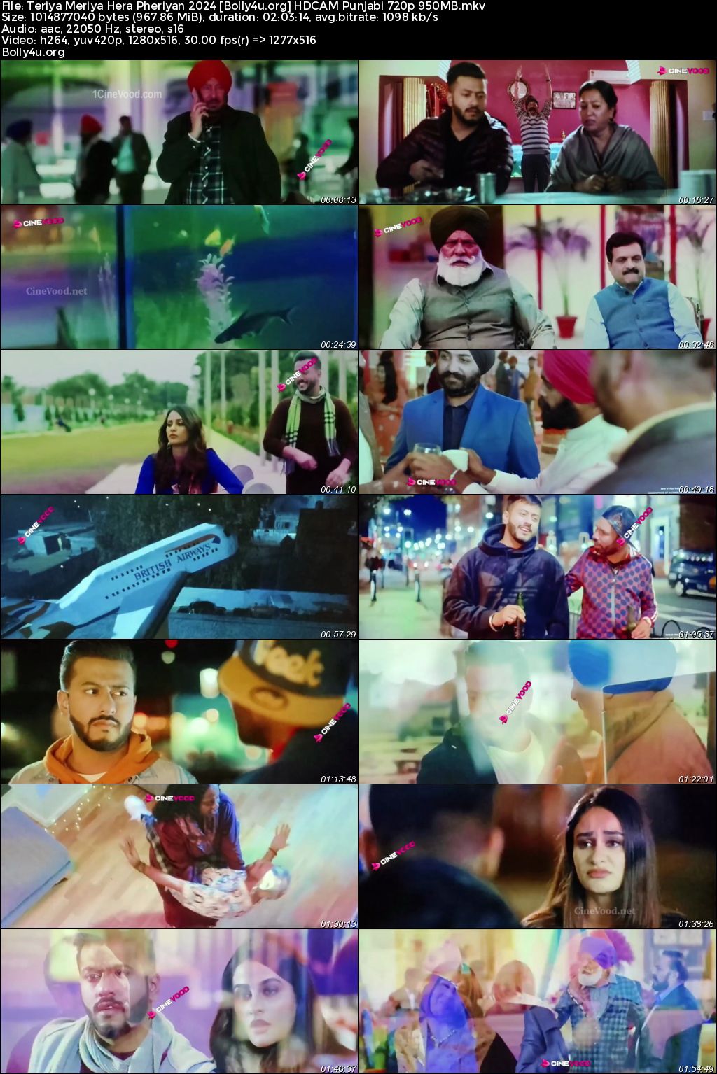 Teriya Meriya Hera Pheriyan 2024 HDCAM Punjabi Full Movie Download 1080p 720p 480p