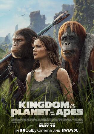 Kingdom of The Planet of The Apes 2024 WEB-DL Hindi Dual Audio ORG Full Movie Download 1080p 720p 480p Watch Online Free bolly4u