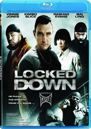 Locked Down 2010 BluRay Hindi Dual Audio Full Movie Download 720p 480p