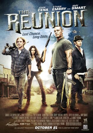 The Reunion 2011 BluRay Hindi Dual Audio Full Movie Download 720p 480p Watch Online Free bolly4u