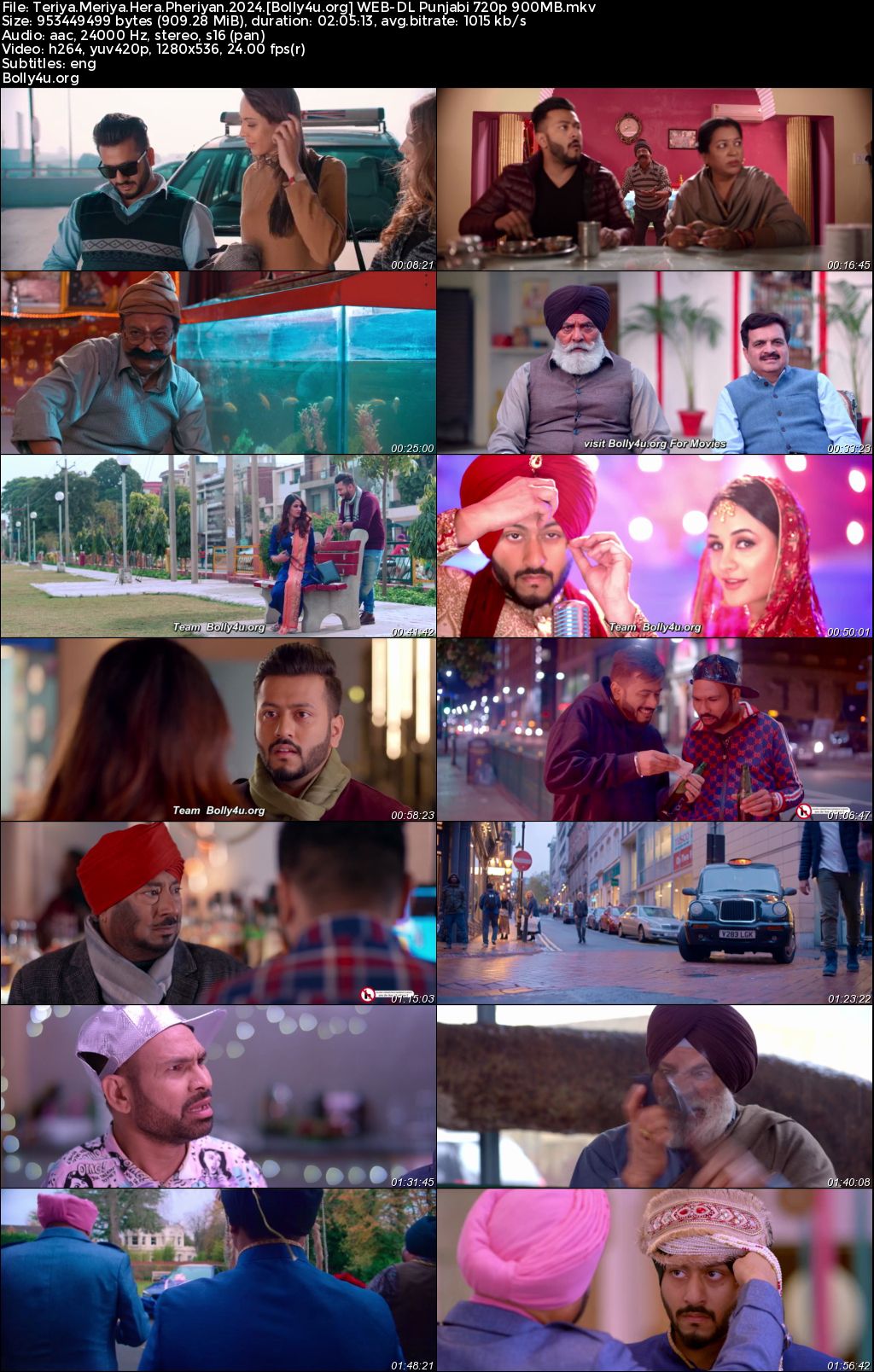 Teriya Meriya Hera Pheriyan 2024 WEB-DL Punjabi Full Movie Download 1080p 720p 480p