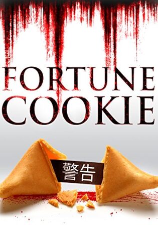 Fortune Cookie 2016 WEB-DL Hindi Dual Audio Full Movie Download 720p 480p Watch Online Free bolly4u