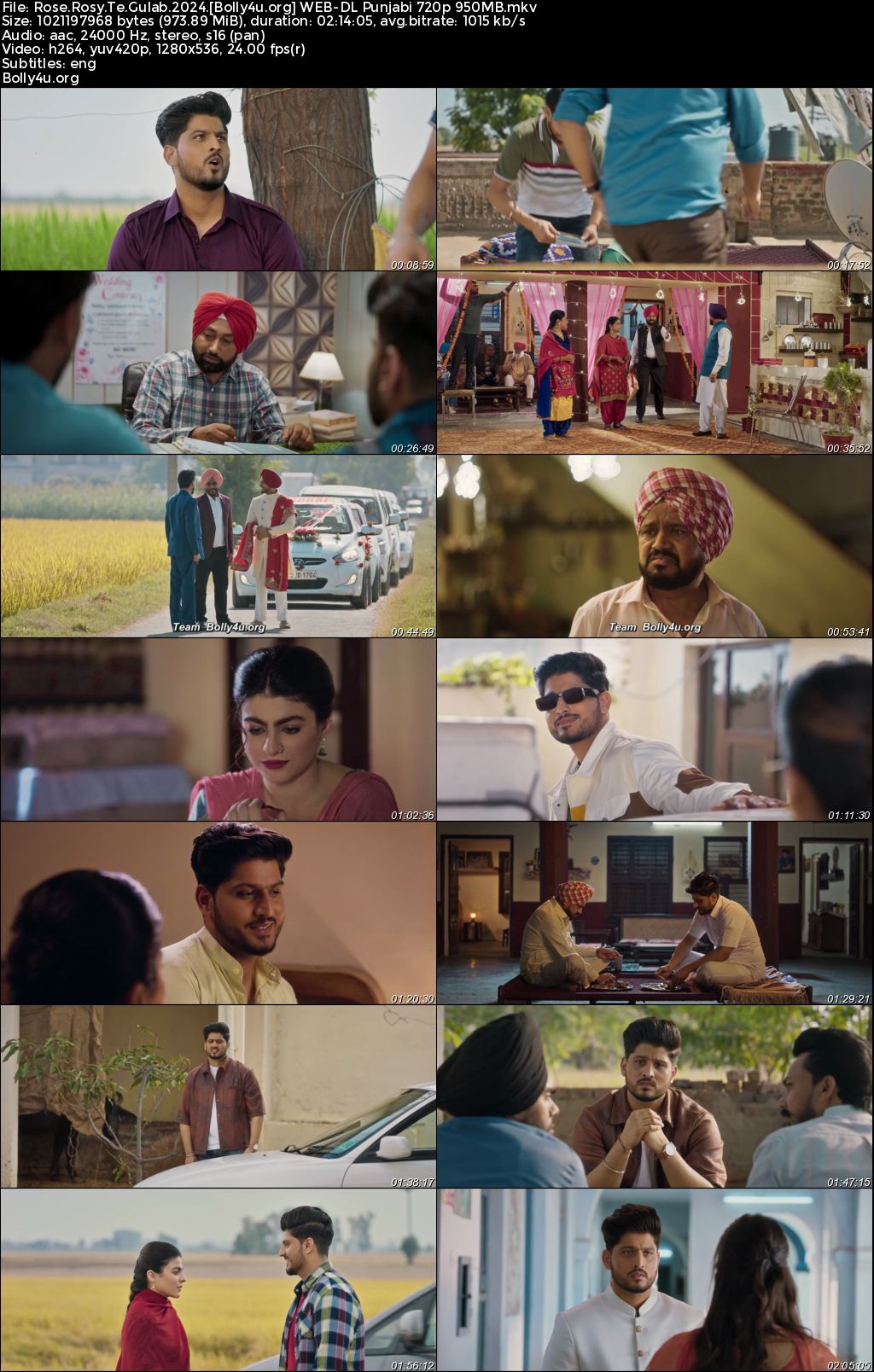 Rose Rosy Te Gulab 2024 WEB-DL Punjabi Full Movie Download 1080p 720p 480p