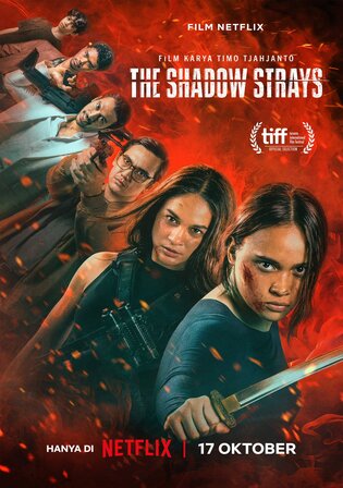 The Shadow Strays 2024 WEB-DL Hindi Dual Audio ORG Full Movie Download 1080p 720p 480p