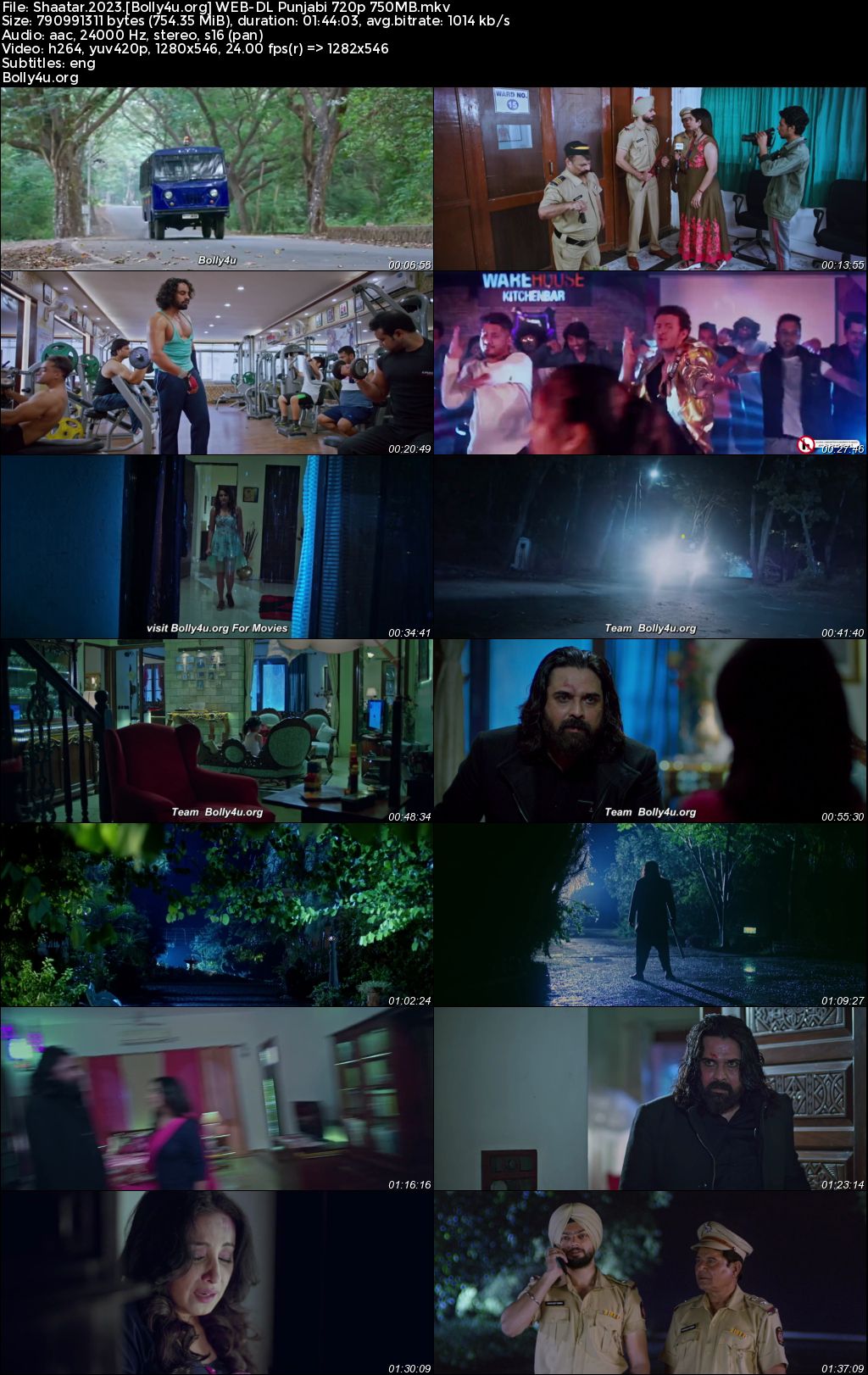 Shaatar 2023 WEB-DL Punjabi Full Movie Download 1080p 720p 480p