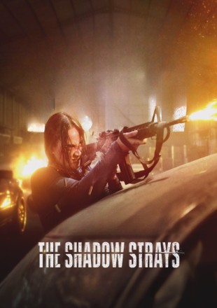 The Shadow Strays 2024 Dual Audio HDRip || 300Mb || 720p || 1080p