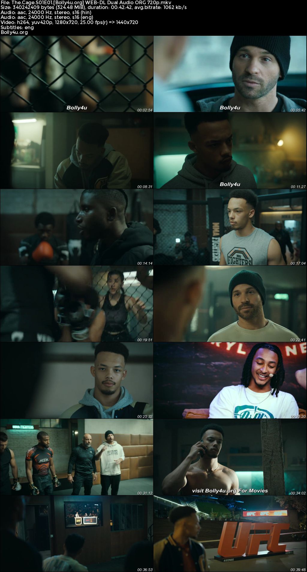 The Cage 2024 WEB-DL Hindi Dual Audio ORG S01 Complete Download 720p 480p