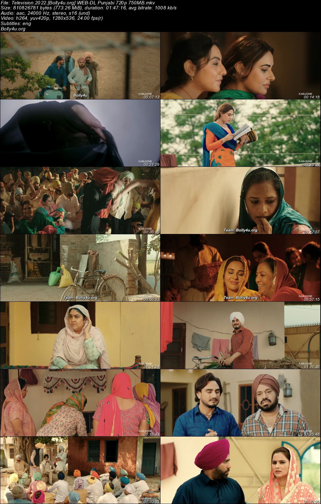 Television 2022 WEB-DL Punjabi Full Movie Download 1080p 720p 480p