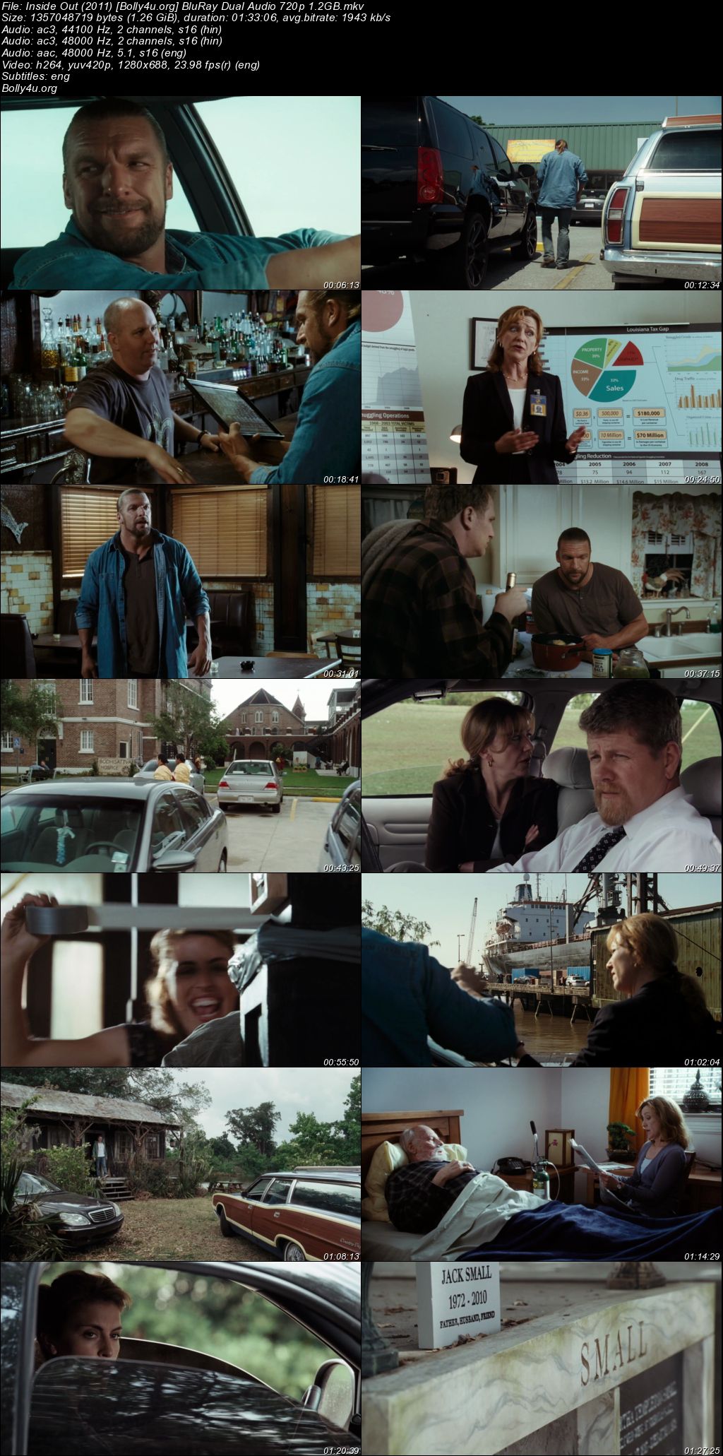 Inside Out 2011 BluRay Hindi Dual Audio Full Movie Download 720p 480p