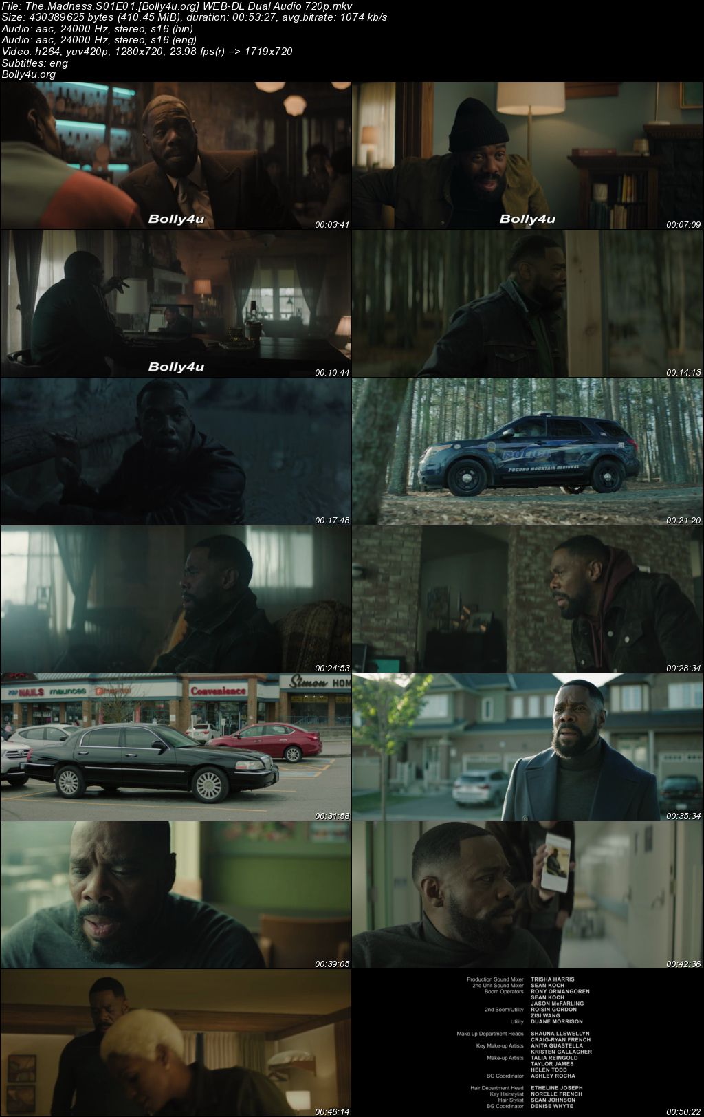 The Madness 2024 WEB-DL Hindi Dual Audio ORG S01 Complete Download 720p 480p