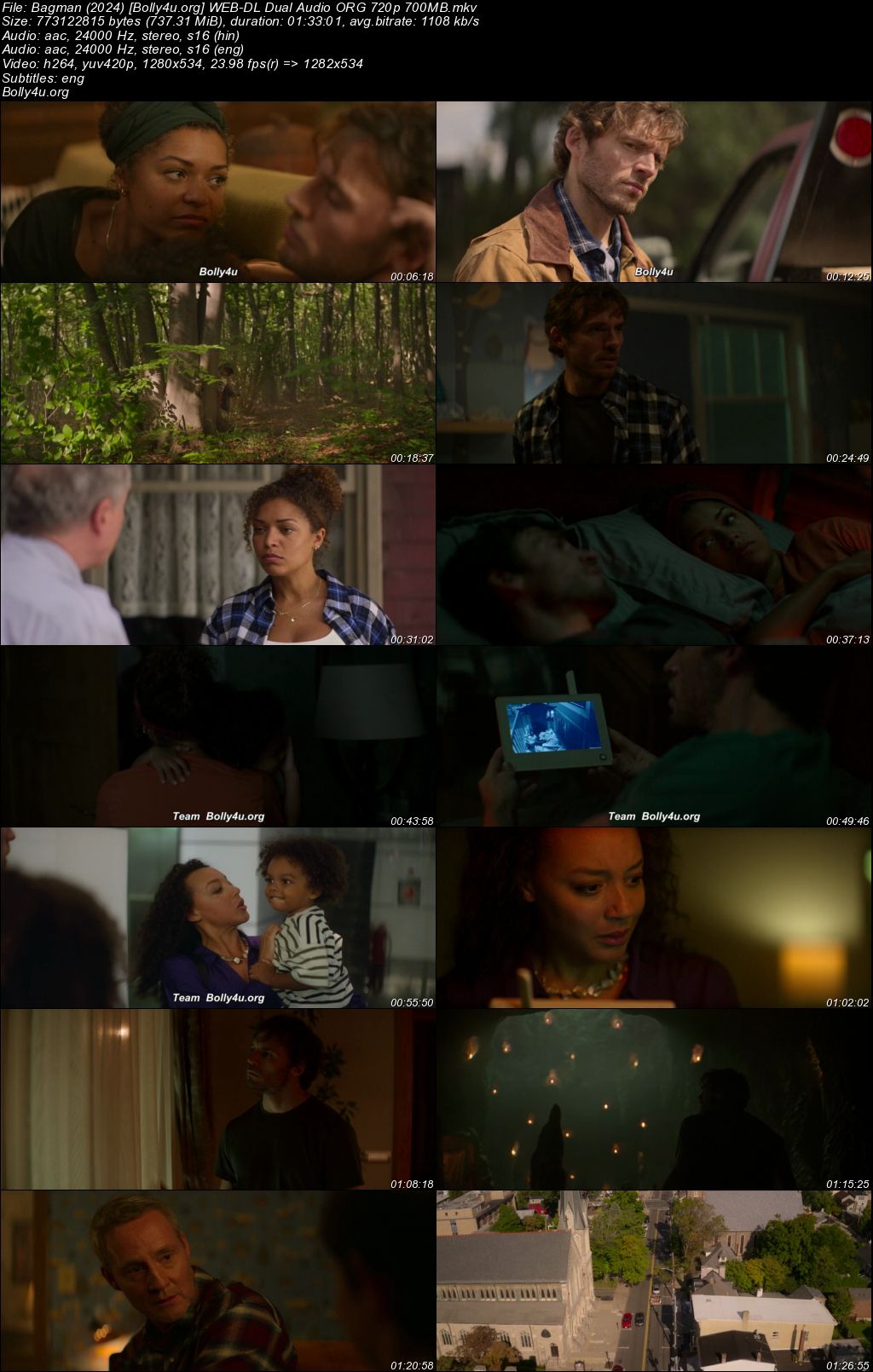 Bagman 2024 WEB-DL Hindi Dual Audio ORG Full Movie Download 1080p 720p 480p