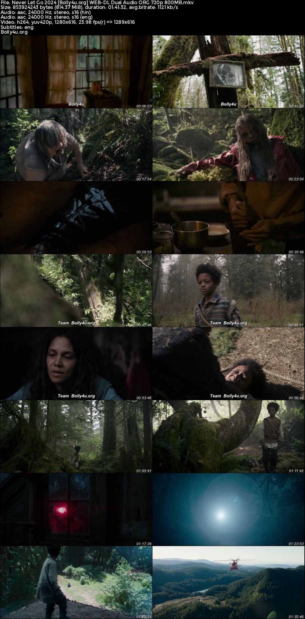 Never Let Go 2024 WEB-DL Hindi Dual Audio ORG Full Movie Download 1080p 720p 480p