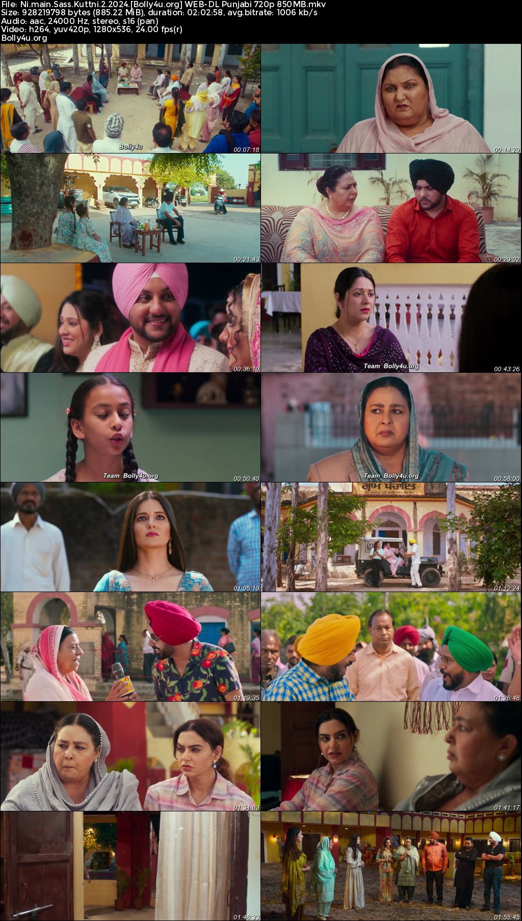 Ni Main Sass Kuttni 2 2024 WEB-DL Punjabi Full Movie Download 1080p 720p 480p