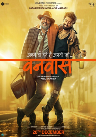 Vanvaas 2024 HDRip Hindi Full Movie Download 1080p 720p 480p