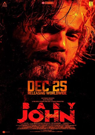 Baby John 2024 Pre DVDRip Hindi Full Movie Download 1080p 720p 480p Watch Online Free bolly4u