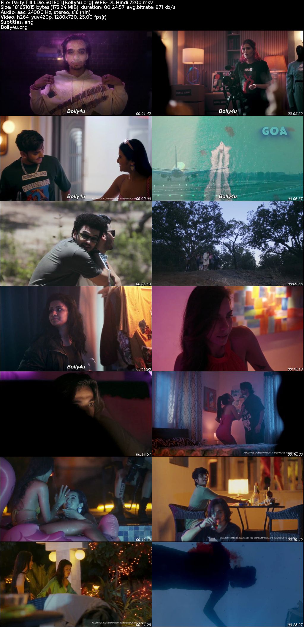 Party Till I Die 2024 WEB-DL Hindi S01 Complete Download 720p 480p